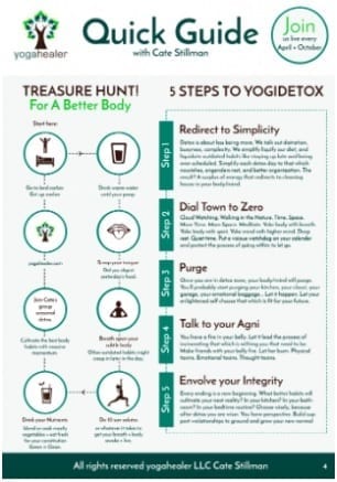 5 steps to Yogidetox Quick Guide