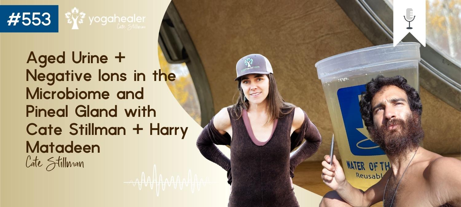 Aged Urine + Negative Ions in the Microbiome and Pineal Gland with Cate Stillman + Harry Matadeen