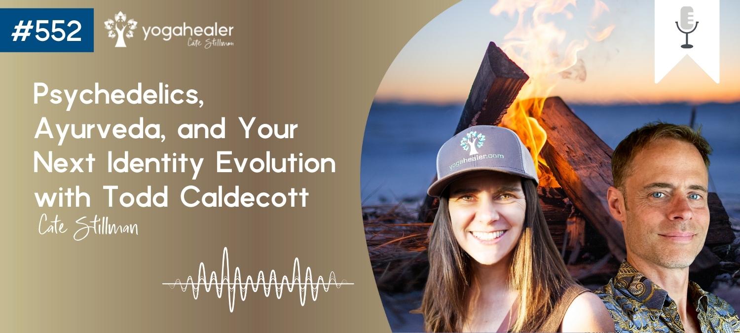 Psychedelics, Ayurveda, and Your Next Identity Evolution with Todd Caldecott