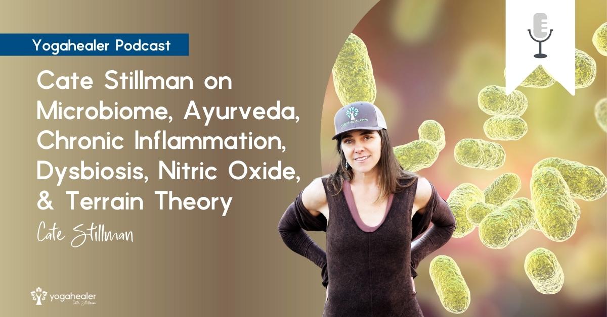 Cate Stillman on Microbiome, Ayurveda, Chronic Inflammation, Dysbiosis