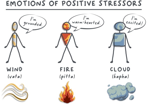 Emotions of Positive Stressors