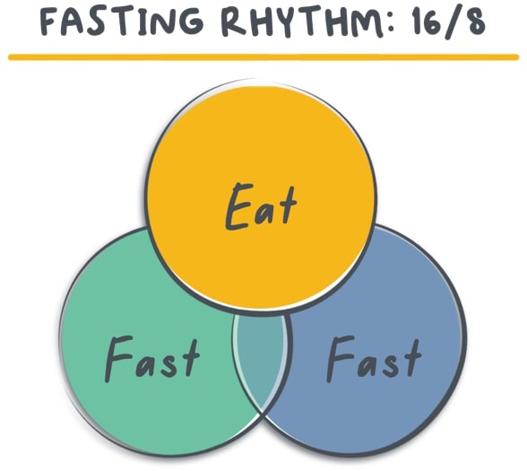 Fasting Rhythm: 16/8